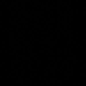 Meet your Posher, Dawson